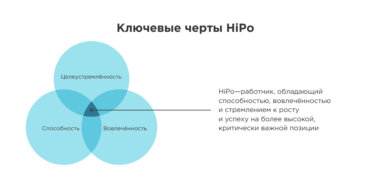 hipo сотрудники это hipo сотрудники это