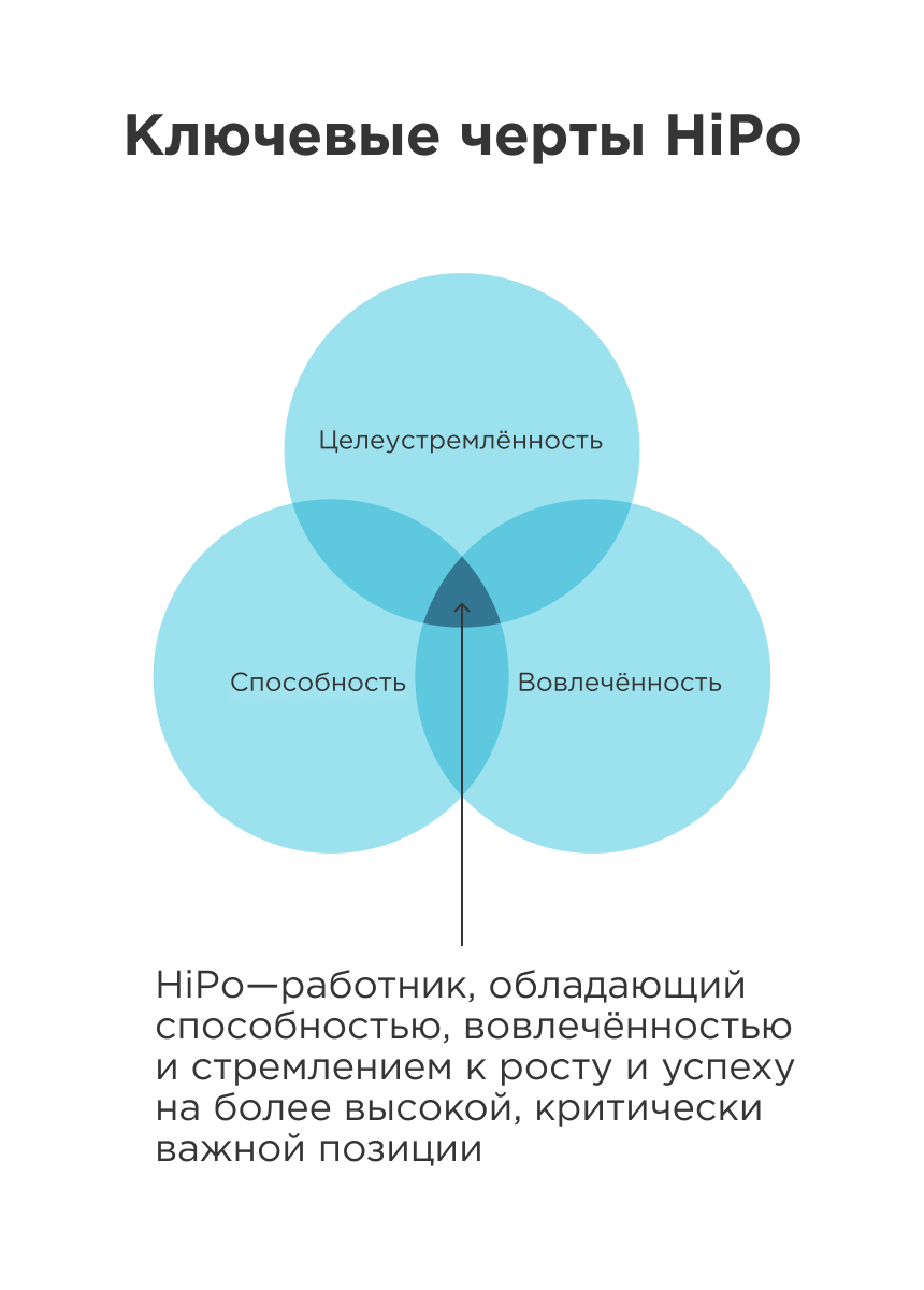 hipo сотрудники это hipo сотрудники это