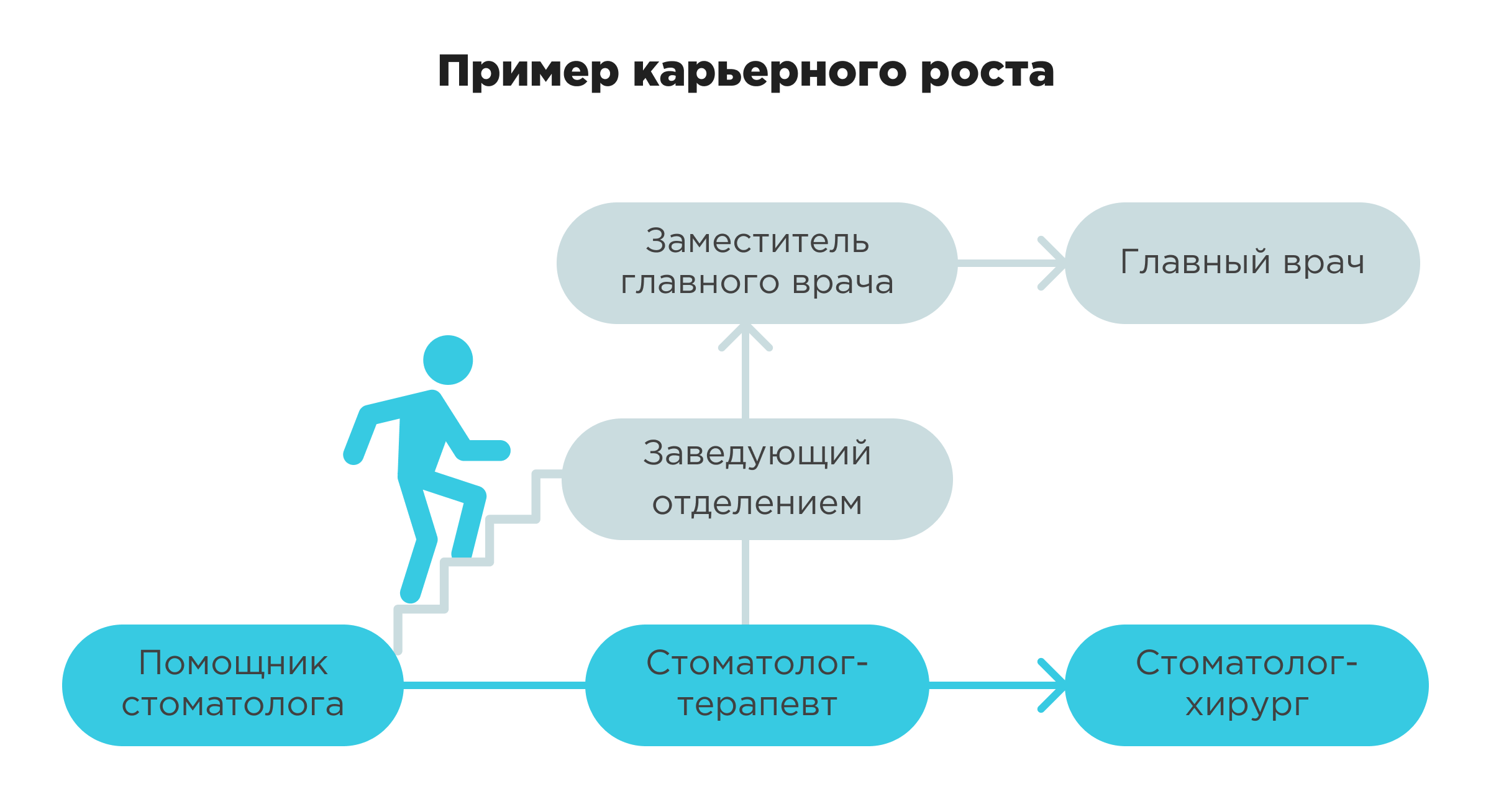 Карьерный план пример Карьерный план пример