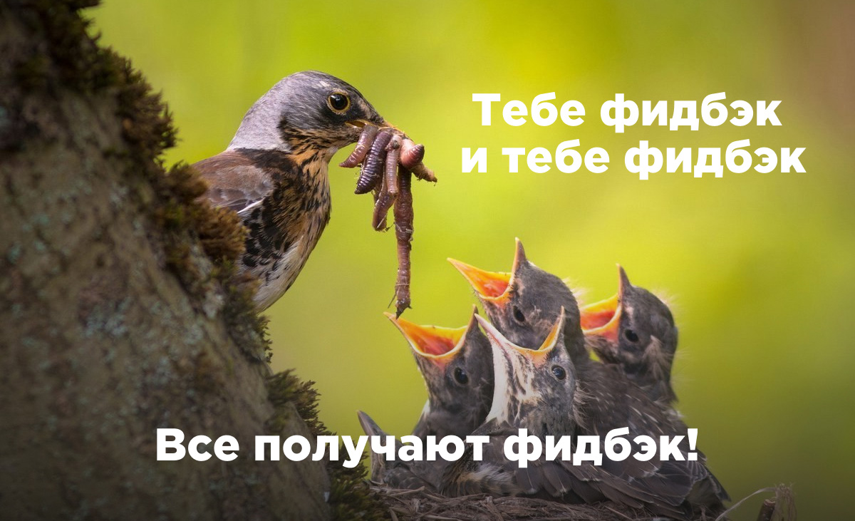 Обратная связь Обратная связь