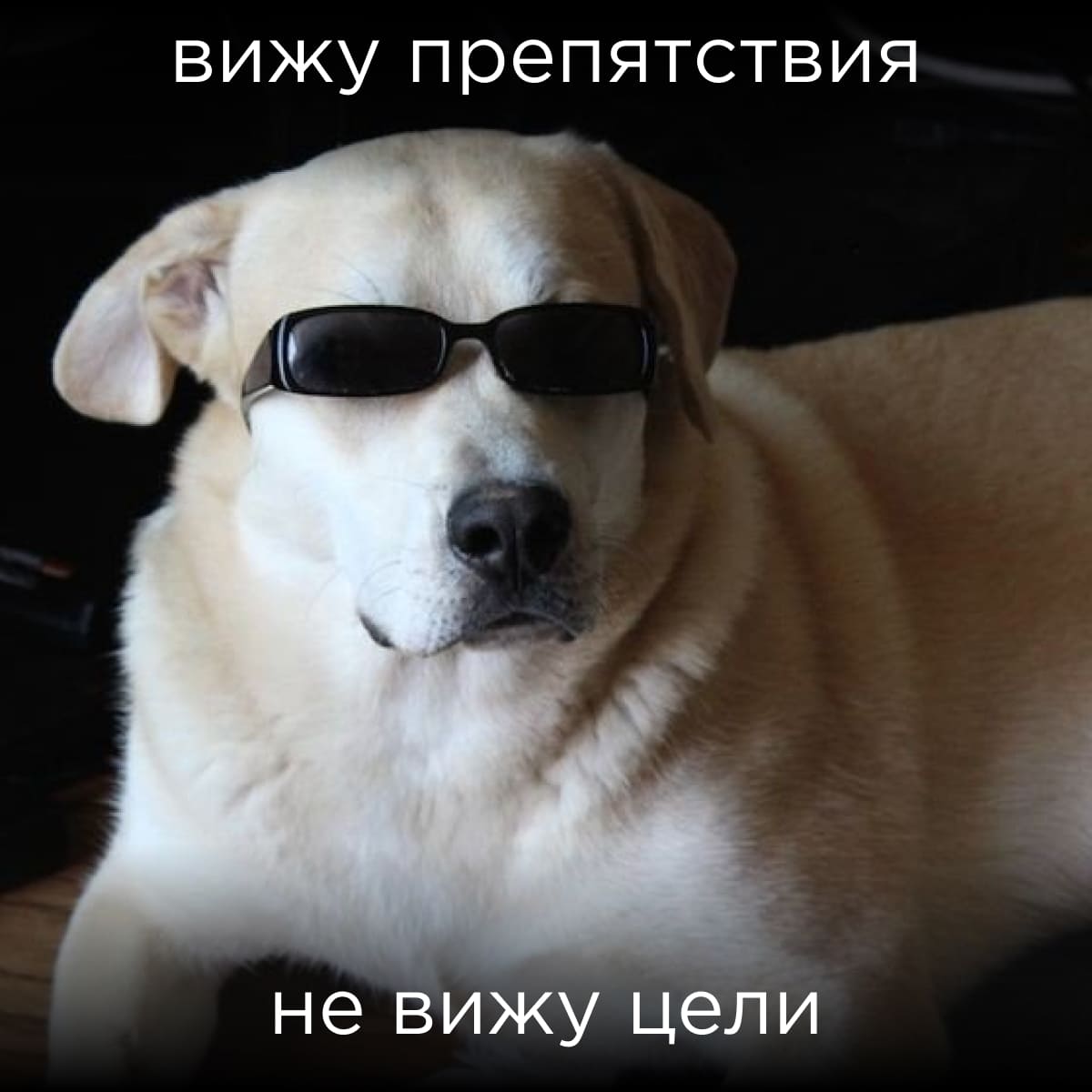 Сплоченная работа коллектива Сплоченная работа коллектива