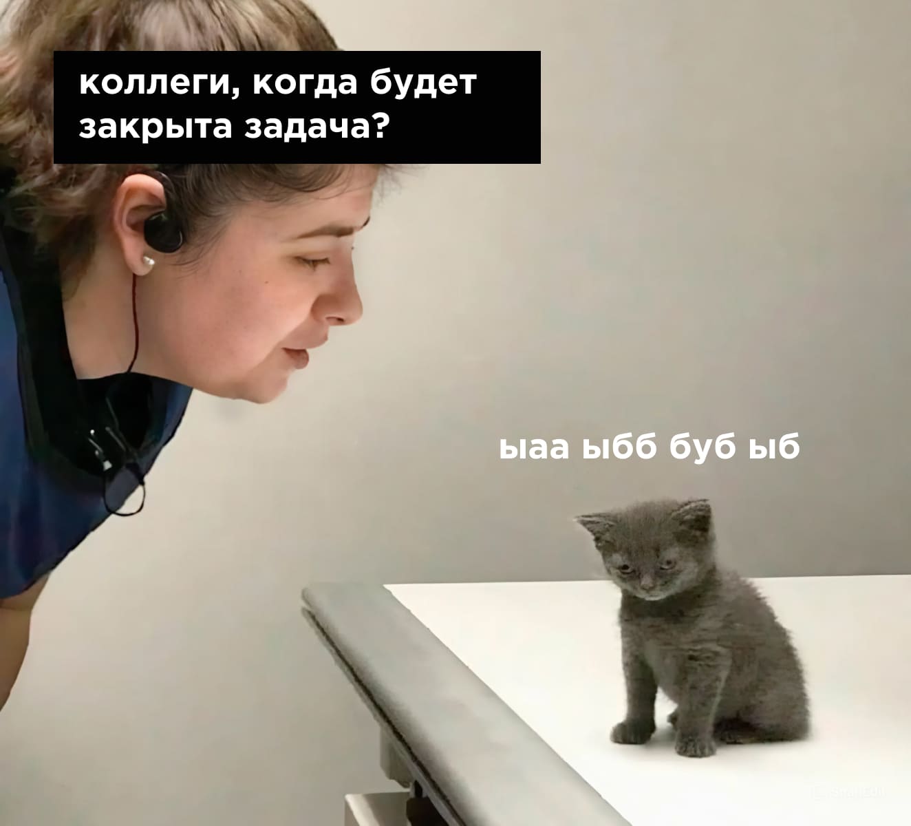 Межфункциональное взаимодействие мем Межфункциональное взаимодействие мем